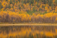 Noorwegen in de herfst