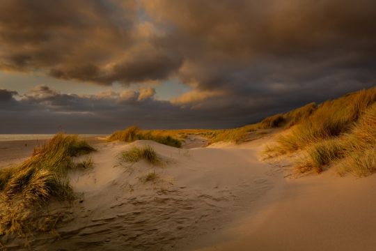 Texel de duinen