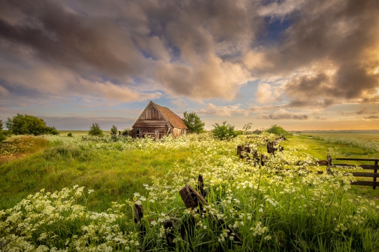 Kippenschuur op Texel