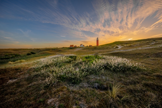 De vuurtoren van Texel
