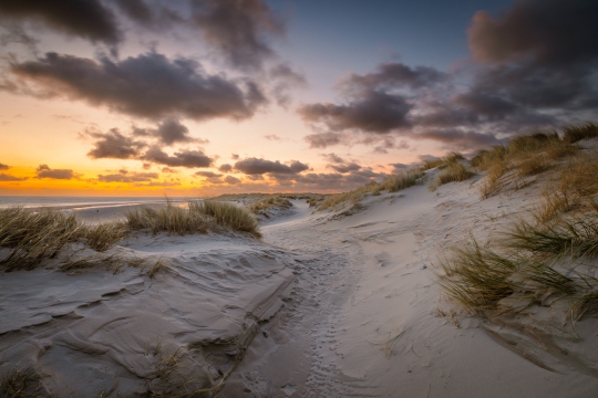 De duinen