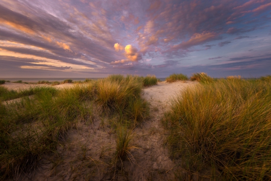 Texel de duinen