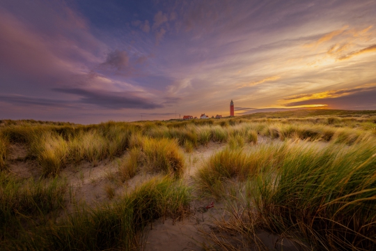 Sunrise in the dunes