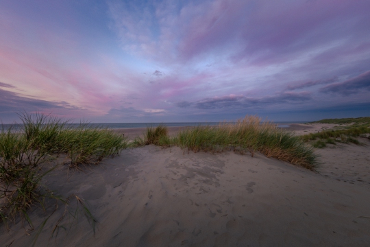 Texel de duinen
