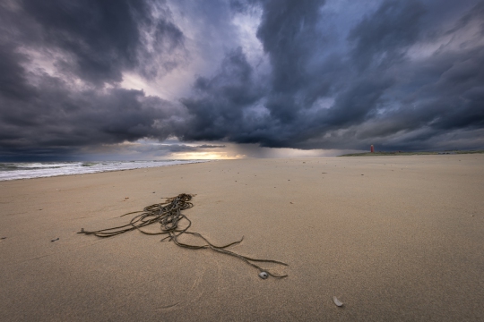 Weidsheid op Texel