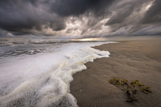 Leegte en Weidsheid op Texel